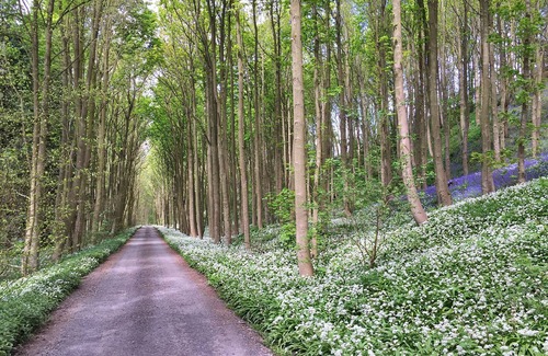 Carlton-in-Cleveland Cottage | Ingleby Manor - East Wing