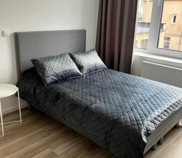Liberty Avenue Apartment | Ingos Laisves al. apartamentai