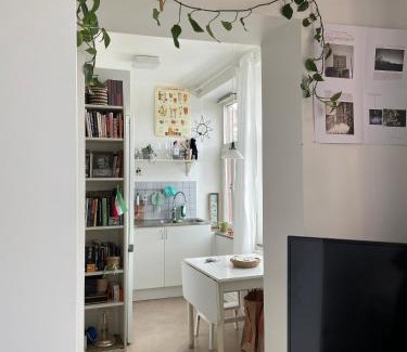 Olivedal Apartment | Inner City Sunny Apartment