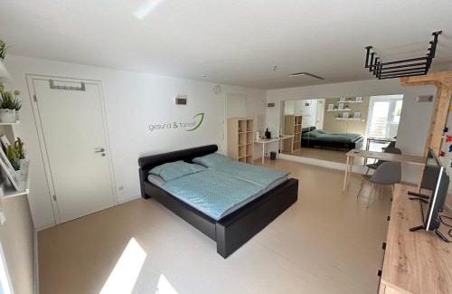 Bad Friedrichshall Apartment | Inspirierendes Sport-Motto-Zimmer am Kocher-Jagst Radweg nähe Heilbronn