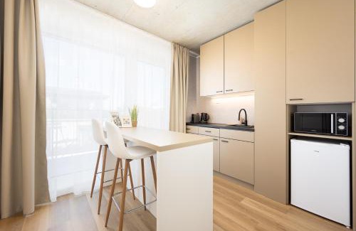 Brno-stred Apartment | Internesto Brno HUB