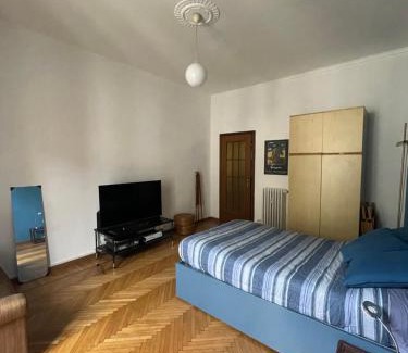 San Salvario Apartment | Intero appartamento sopra il Parco del Valentino