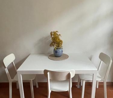 San Salvario Apartment | Intero appartamento sopra il Parco del Valentino