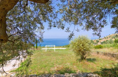 Pollica House | Into lupene