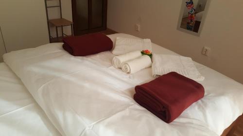 Ploiesti Apartment | Iri's Downtown Apartment no. 1