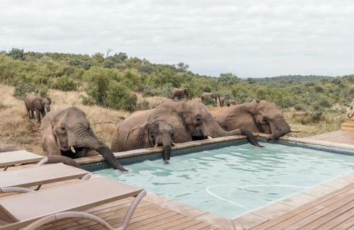 Maruleng Cabin | Isambane Camp