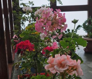 Banjar House | Ishan Log Huts-A boutique home stay