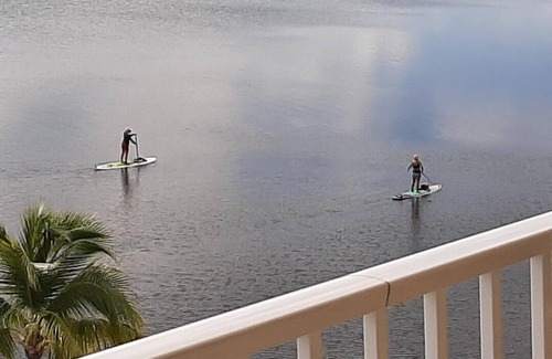 Tavernier Condo | Islamorada Lovely Panoramic Ocean VIEWS! Oceanfront Corner Condo, Pool, More!