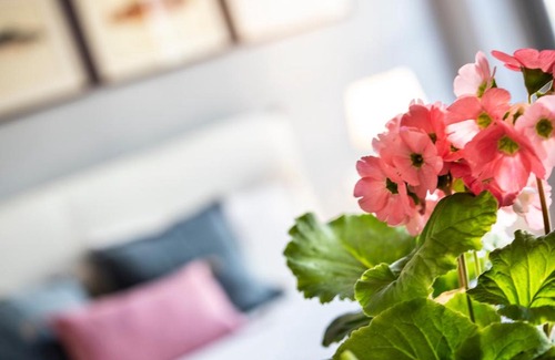 Carciano Apartment | Isola Bella Apartments, Suite