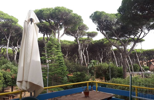 Marina di Castagneto Carducci Apartment | Apartment with veranda and garden just 300 meters from the sea