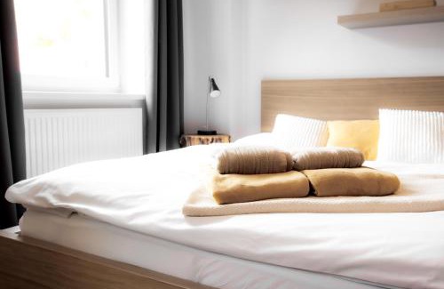 Jachymov Apartment | Jáchymov STARt point no 41 - Rezidence K Lanovce