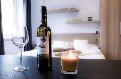 Jachymov Apartment | Jáchymov STARt point no 41 - Rezidence K Lanovce