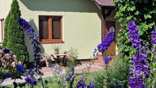 Pila House | "Jabłonie i grusze" Nice home in a big garden with sauna and wifi