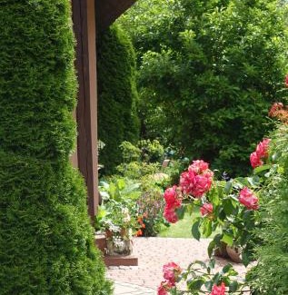 Pila House | "Jabłonie i grusze" Nice home in a big garden with sauna and wifi