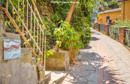 Manarola Apartment | Jack's Tale, Terre Marine