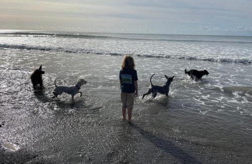 Widegates House | Jam First - Lydcott Glamping, Cornish Sea Views