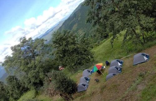 Kausani House | Janardan Campsite Kausani