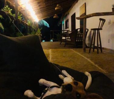 Atins Hotel | Jandaia Atins