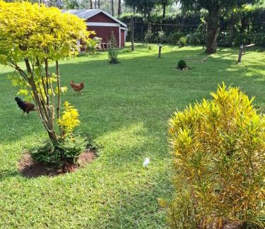 Rongo House | Jane's Place