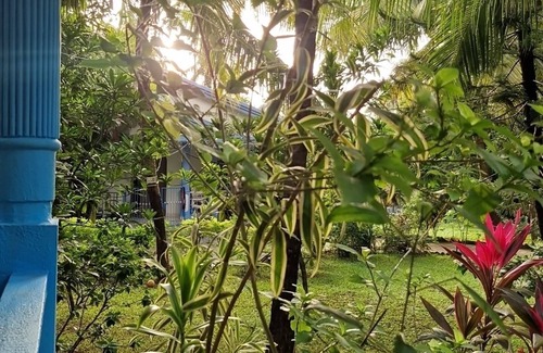 Patnem House | Janki's hideoutnNature & Peaceful vibe – for people seeking relaxation and calm.
