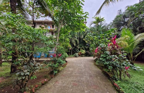 Patnem House | Janki's hideoutnNature & Peaceful vibe – for people seeking relaxation and calm.