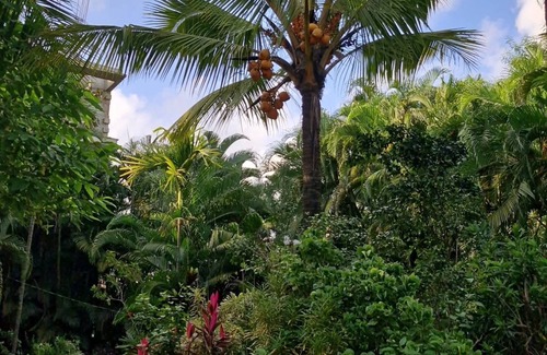 Patnem House | Janki's hideoutnNature & Peaceful vibe – for people seeking relaxation and calm.