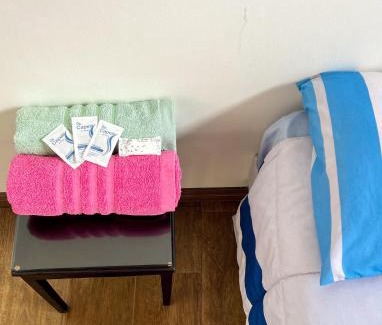 Quito Historic Center House | Jardín de la Casa Colonial