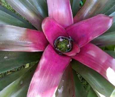 Puerto Iguazu House | Jardín de Naipí 3
