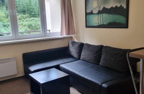 Demanovska Dolina Apartment | Jasna 96 II