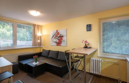 Demanovska Dolina Apartment | Jasna 96 III
