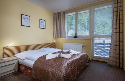 Demanovska Dolina Apartment | Jasna 96 III