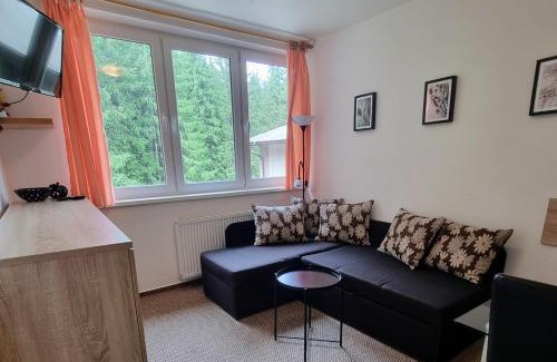 Demanovska Dolina Apartment | Jasna 96
