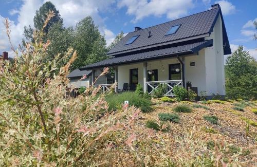 Muszyna Ski Chalet | Jastrzębie Gniazdko