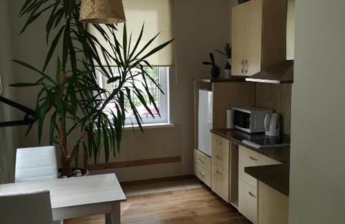Siauliai City Center Apartment | Jaukus butas Šiaulių miesto centre