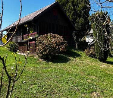 Sisak House | Jazvenik Hill House