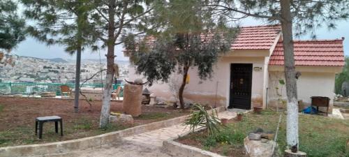 Jerash Ski Chalet | Jerash Roman Gate studio chalet ستوديو شاليه بوابة جرش الرومانيه الشماليه