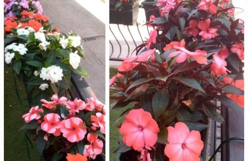 Arandelovac Apartment | Jezero