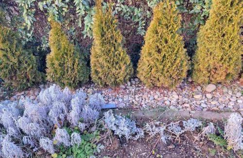 Arandelovac Apartment | Jezero