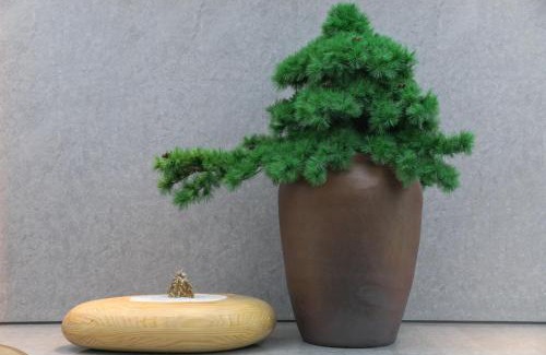 Langfang Hotel | JI Hotel Gu'an Daxing International Airport