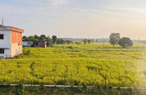 Dhela Hotel | Jim Corbett Guest House