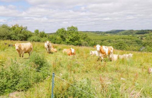 Cloone House | John & Margarets Place