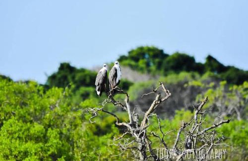 Sevanagala Bed & Breakfast | John's safari villa