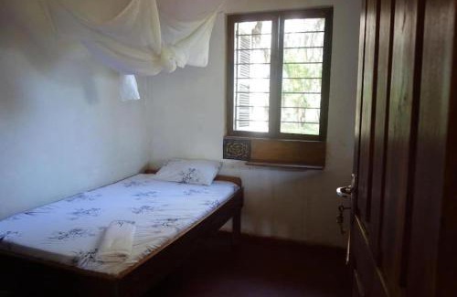 Pangani House | Juani Pangani