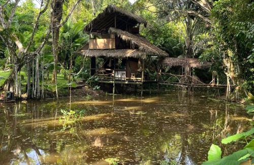 Puerto Narino Other | Jungle Cabin - Satori Natural