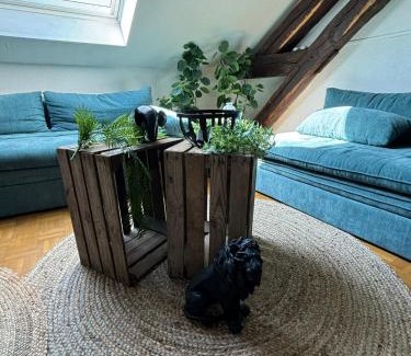 Louviers Apartment | Jungle Cosy