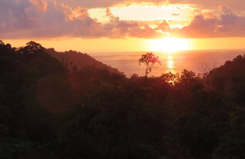 Valle Pura Vida House | Jungle Creek Mono Vista,Creek view, A/C,Private closed in deck, WiFi,Queen beds