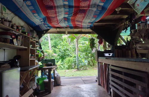 Cocles Apartment | Jungle house
