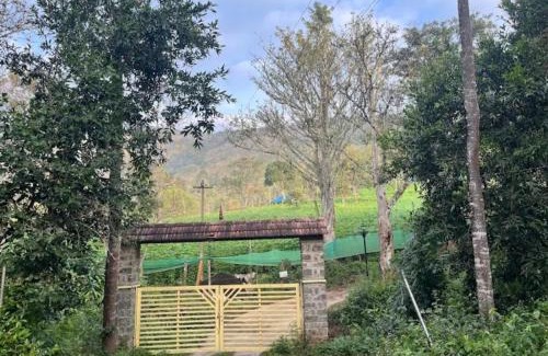 Kodaikanal House | Jungle retreat waterfalls