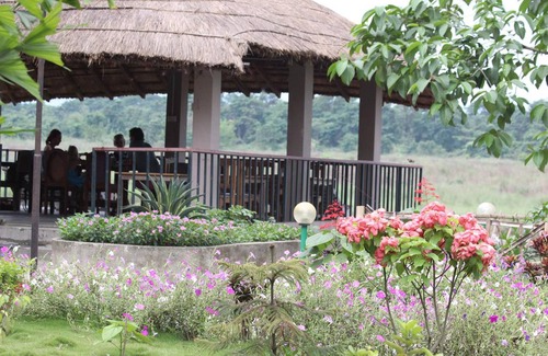 Sauraha Hotel | Jungle Sunset Camp