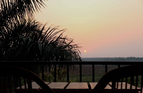 Sauraha Hotel | Jungle Sunset Camp